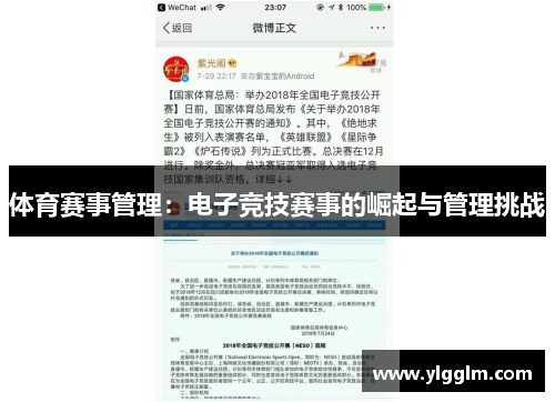 体育赛事管理：电子竞技赛事的崛起与管理挑战